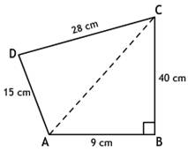 49